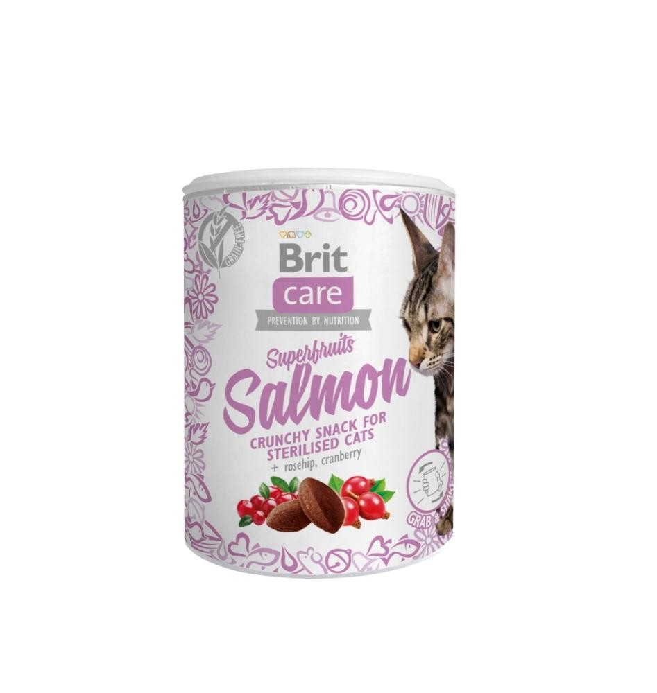 Brit Care Fel Adult Snack Superfruits Lachs (6x 9100g)