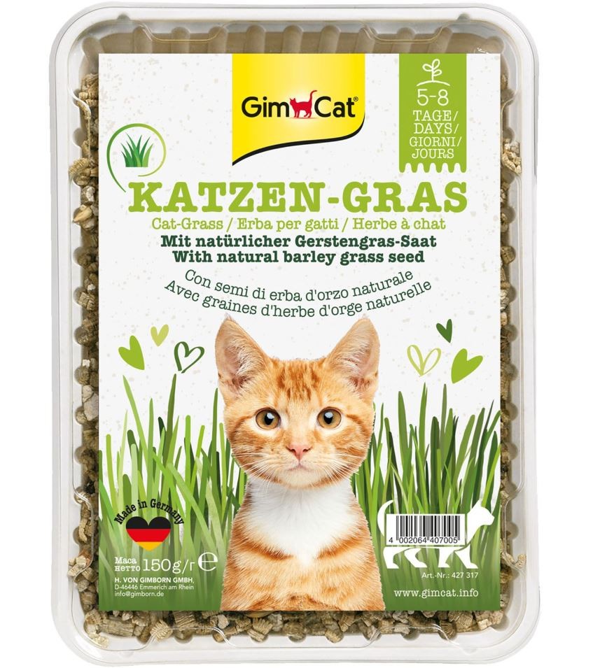 Gim Cat Katzengras mit natürlicher Gerstengras-Saat (150g)