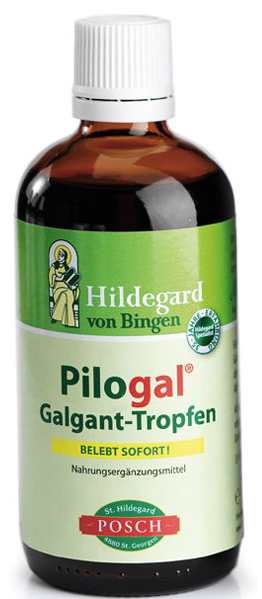 POSCH Pilogal Galgant-Tropfen, nach Hildegard von Bingen (100ml)