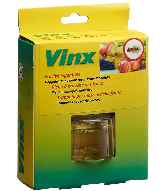 Vinx Fruchtfliegenfalle mit Klebestreifen