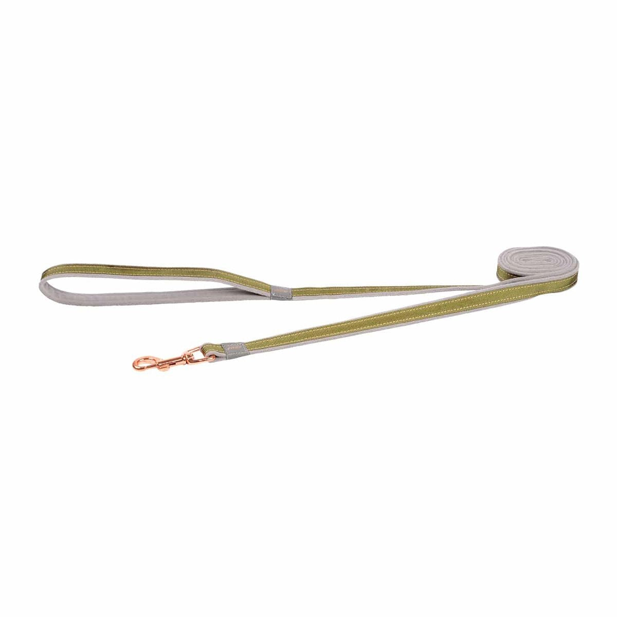 rogz Urban Hundeleine grün, Länge 180cm, Bandbreite 1.2cm (1 Stk)