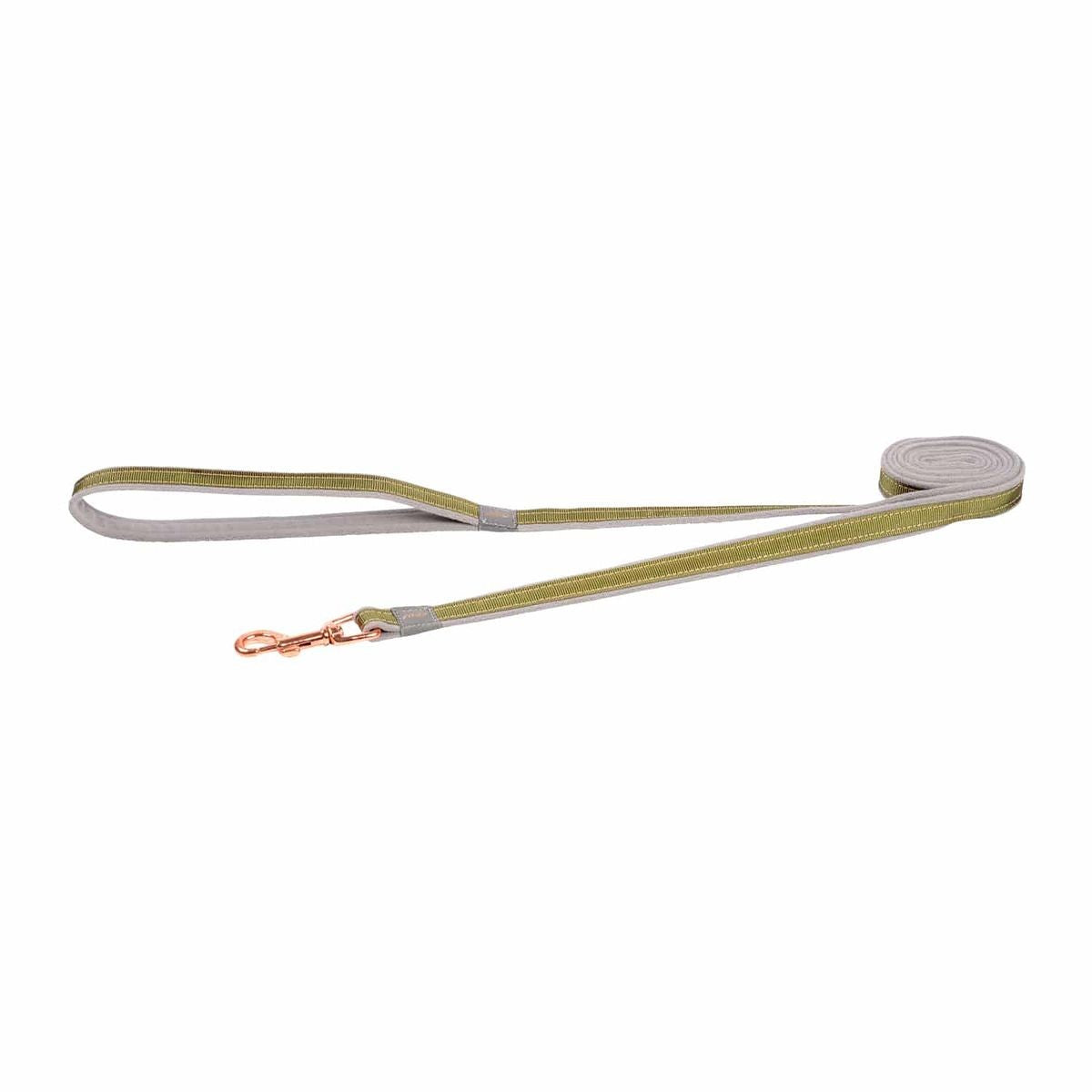 rogz Urban Hundeleine grün, Länge 180cm, Bandbreite 1.4cm (1 Stk)