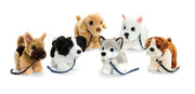 Keel Hund an Leine assortiert, 30cm (6 Stk)