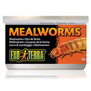 Exo Terra Mehlwürmer (68g)