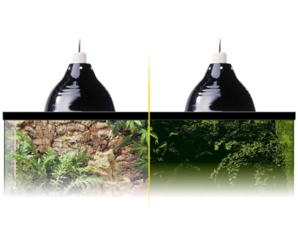 Exo Terra Terrarium Porzellan​-​Klemmlampe und Leuchtreflektor 100W, L, 25x27x20 cm (1 Stk)