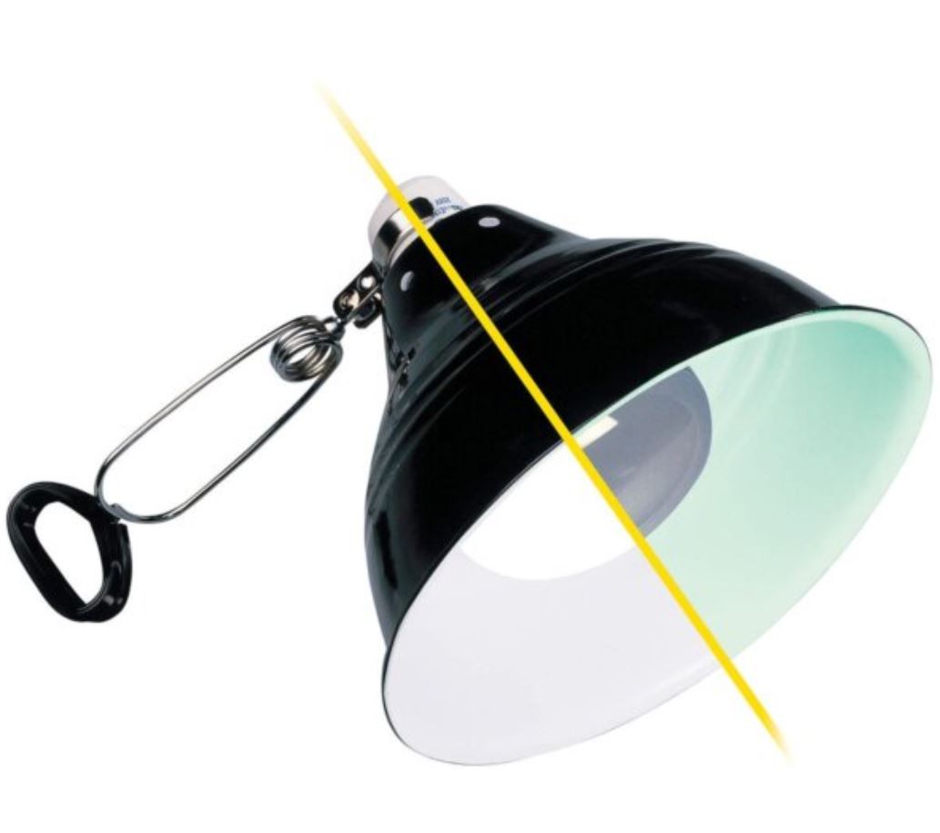 Exo Terra Terrarium Porzellan​-​Klemmlampe und Leuchtreflektor 100W, L, 25x27x20 cm (1 Stk)