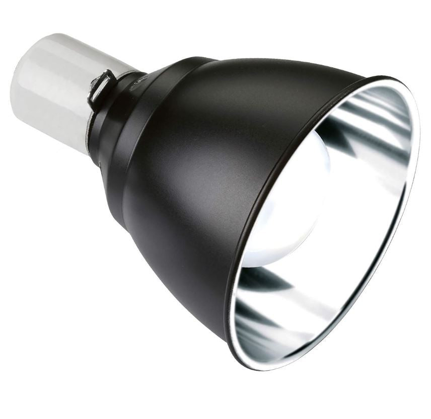 Exo Terra Reflektorlampe Light Dome, S, Ø14cm (1 Stk)