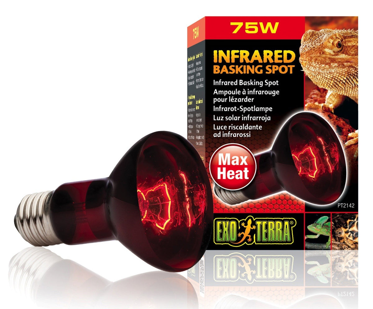 Exo Terra Infrared Basking Spot Infrarot Glühbirne 75W (1 Stk)