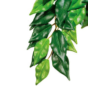 Exo Terra Rainforest Hanging Plants Ficus M (1 Stk)