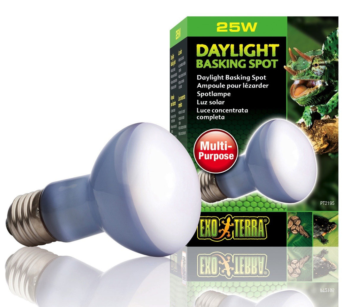 Exo Terra Daylight Basking Spot Breitspektrum​-​Tageslichtlampe 25W (1 Stk)