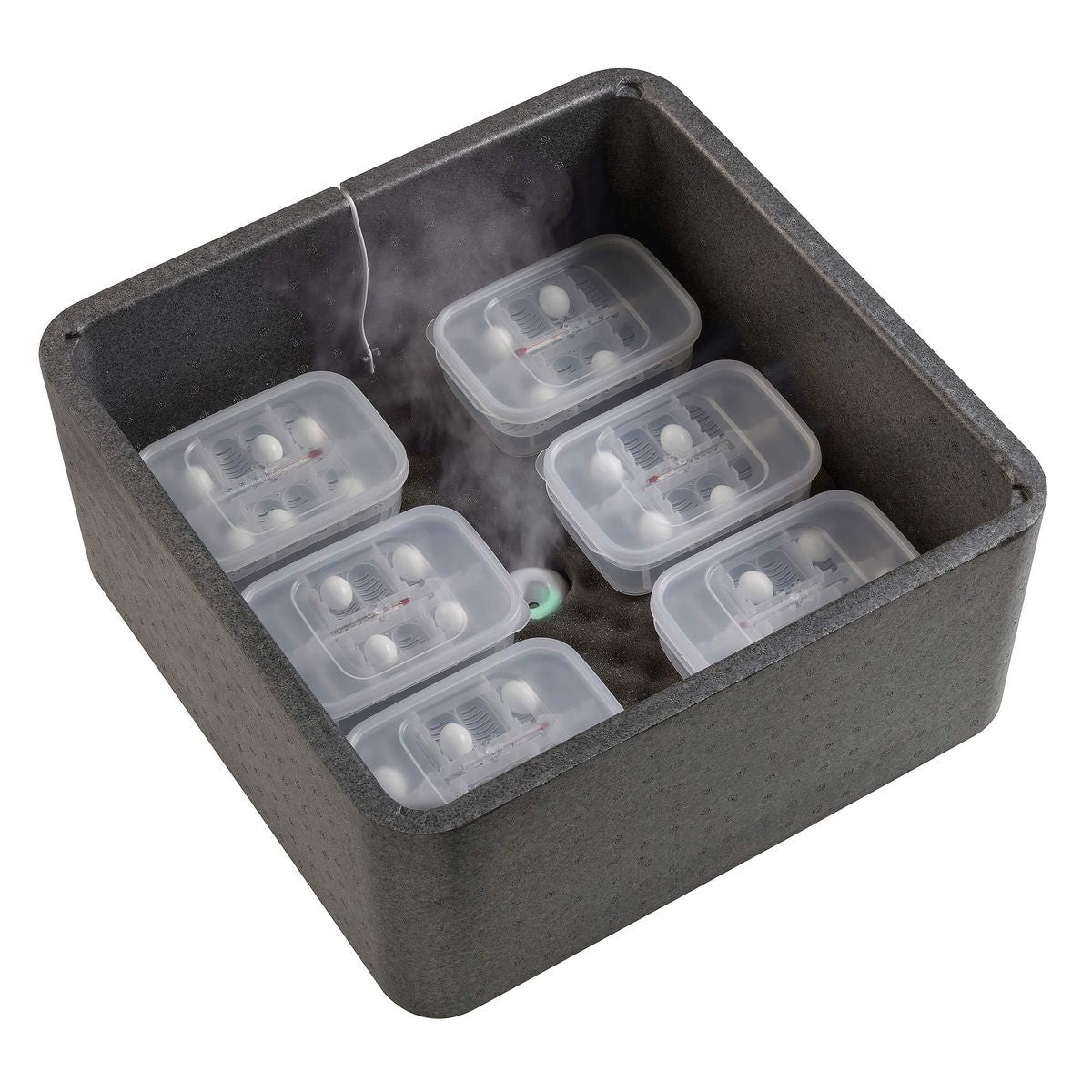 Exo Terra Incubator (1 Stk)