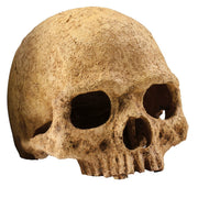 Exo Terra Skulls Schädel​-​Versteck (1 Stk)