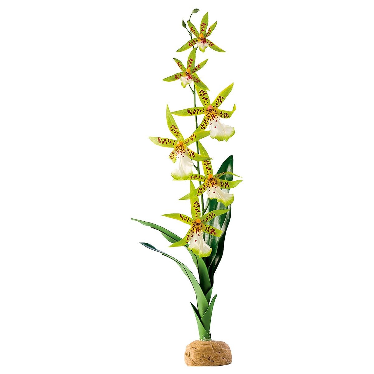 Exo Terra Rainforest Ground Plants Spinnen Ochidee (1 Stk)
