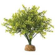 Exo Terra Rainforest Ground Plants Buschbaum (1 Stk)