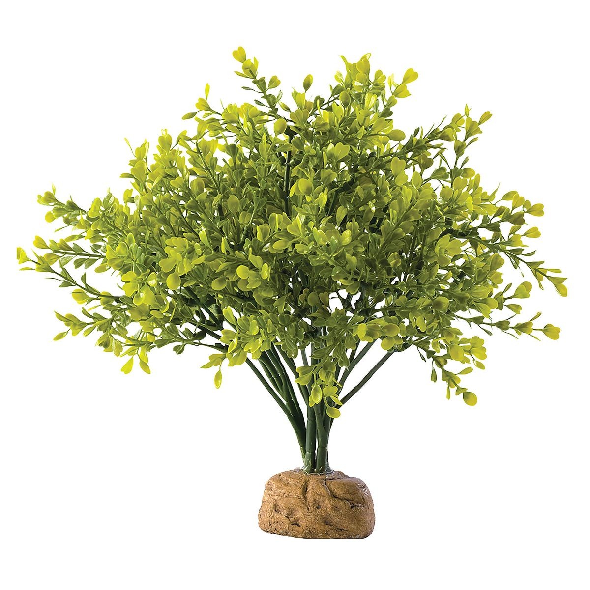Exo Terra Rainforest Ground Plants Buschbaum (1 Stk)