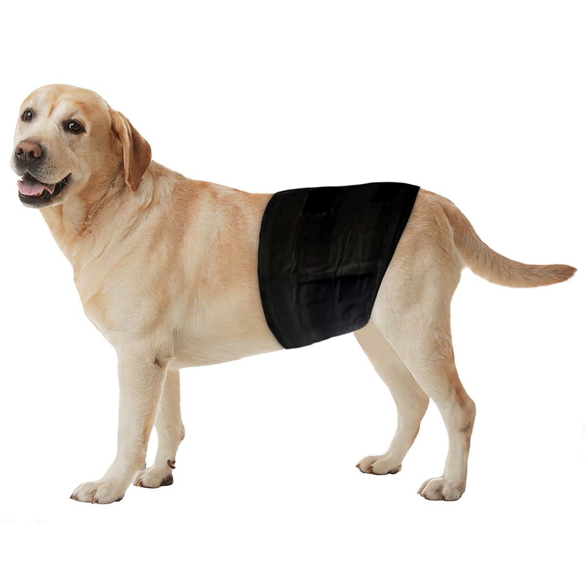 Freezack Einweg​-​Windeln für Rüden, Bauchumfang 60-80cm (1x12 Stk)