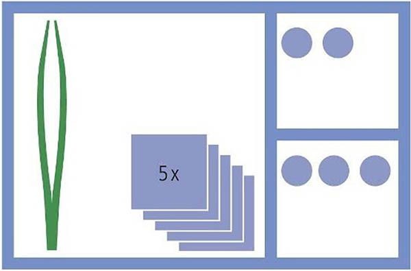 MediSet Wundversorgungs-Set No94 (1 Stk)