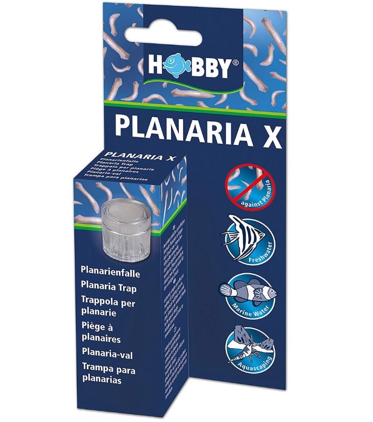 Hobby Planarienfalle mit Köder (1 Stk)