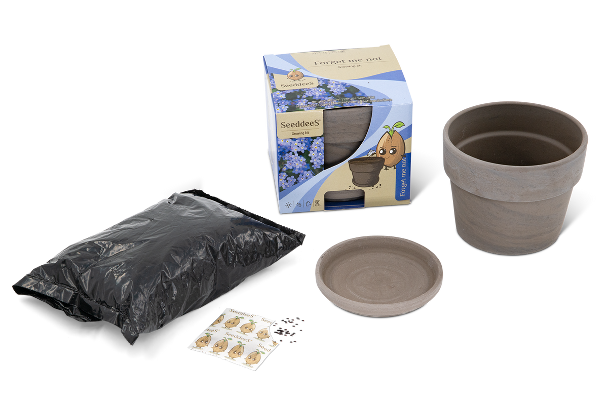 Wyss Garten Basalttopf-Set, Vergissmeinnicht (3-teilig)