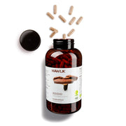 HAWLIK Reishi Pulverkapseln Vorratsdose (500 Stk)