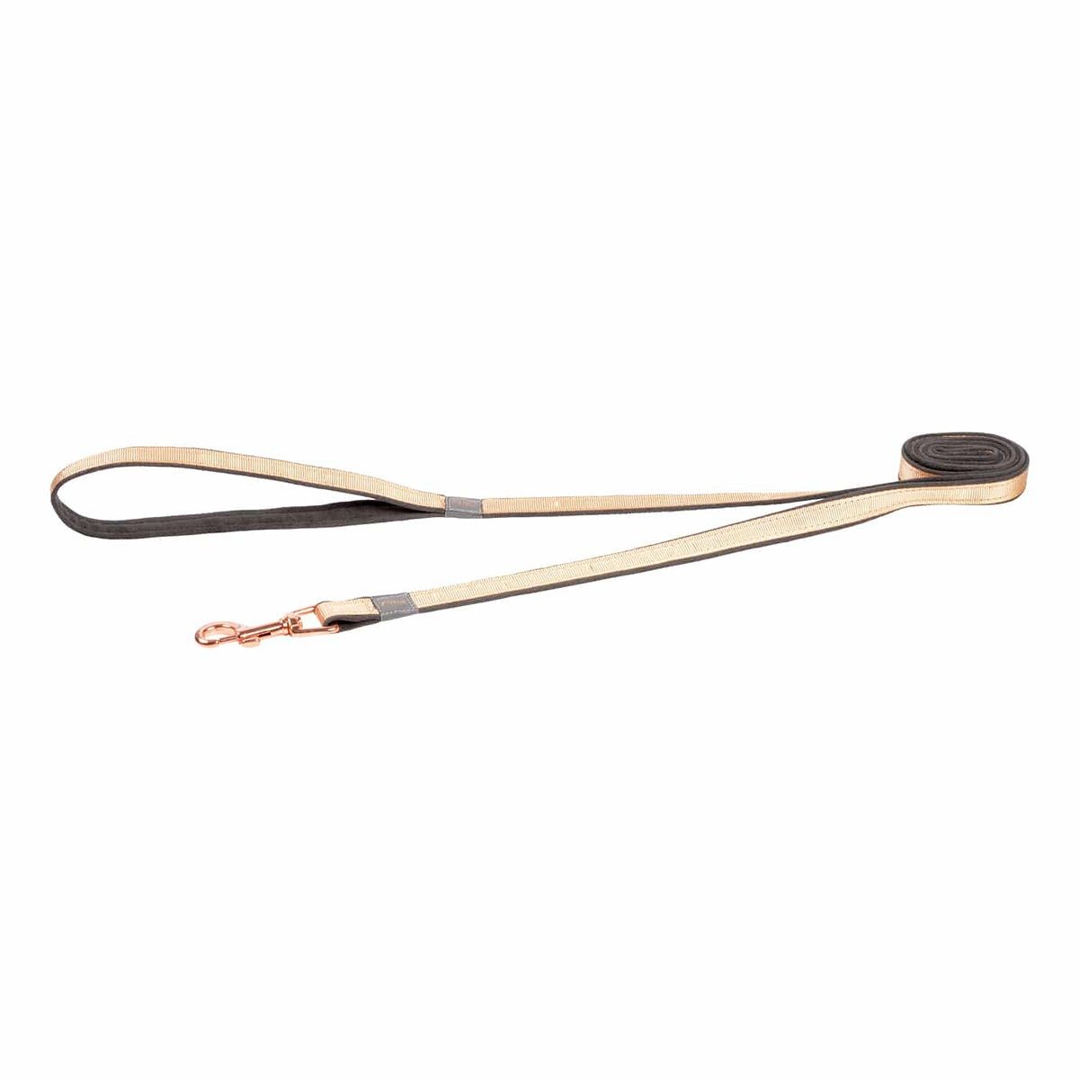 rogz Urban Hundeleine gold, Bandbreite 1.2cm (1 Stk)