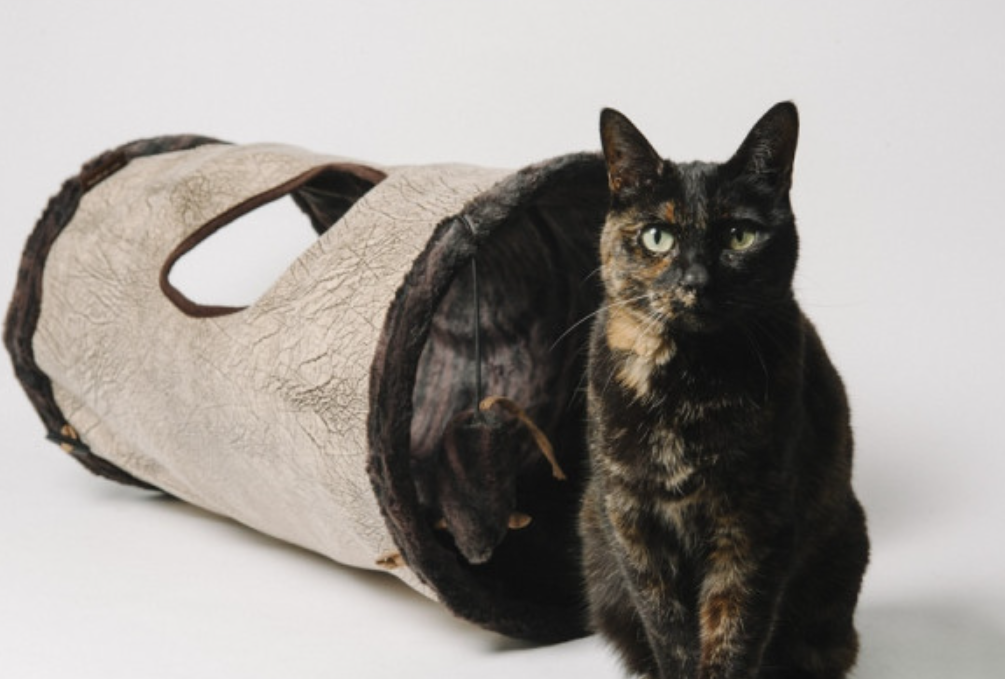 P.L.A.Y. Luxury Katzentunnel Purr & Pounce Braun (1 Stk)