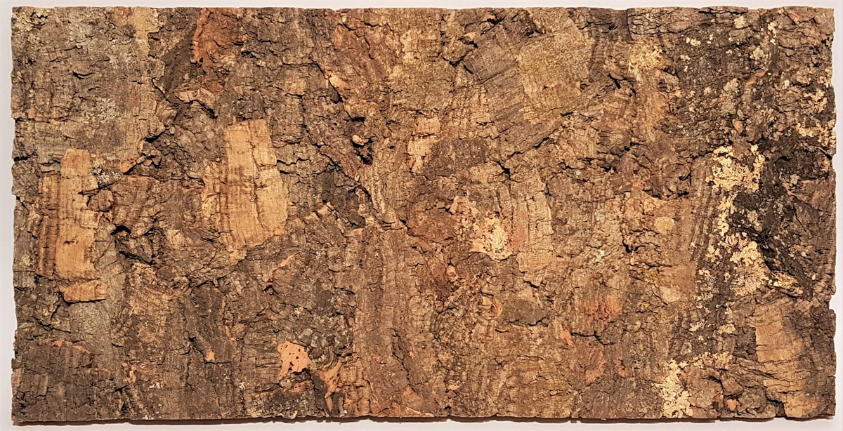 Zierkorkrückwand Burma, 60x30cm (2 Stk)
