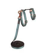 rogz Urbancat Control Katzengeschirr und -leine türkis, Halsumfang 24-40cm (1 Stk)