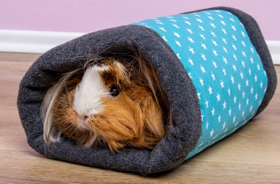 bunny Fleece​-​Tunnel für Zwergkaninchen ​& Nagetiere grau​/​türkis (1 Stk)