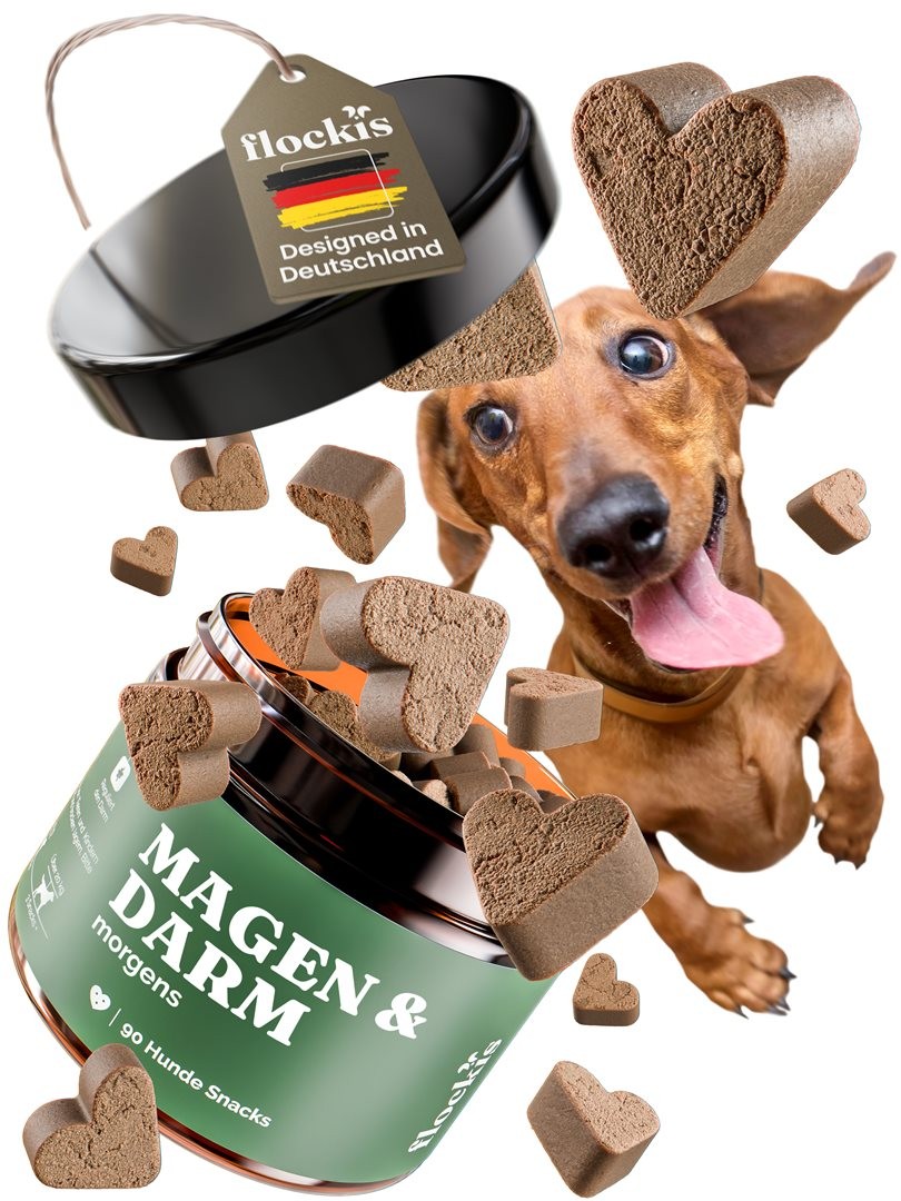 FLOCKIS Hundesnacks Kautabletten Magen & Darm (90 Stk)