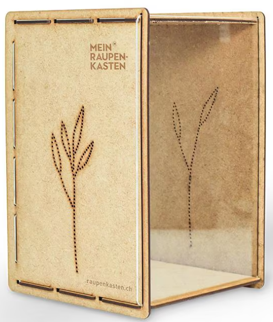 Mein Raupenkasten, 29x20x19cm (1 Stk)
