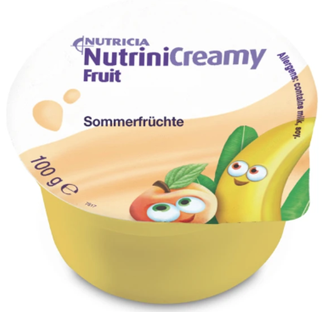 Nutrini Creamy Fruit Sommerfrüchte (4x100g)