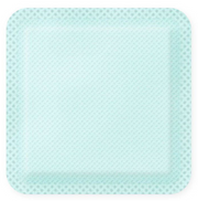 Zetuvit Plus Saugkompressen steril 6x6cm (10 Stk)