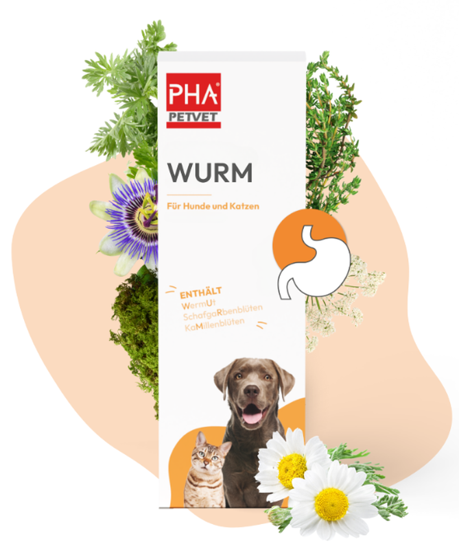 PHA Wurm-Tropfen für Hunde und Katzen (50ml)