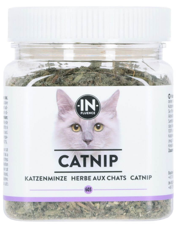 IN​ - ​FLUENCE Catnip Katzenminze im Glas (20g)