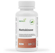 sanasis Nattokinase Kapseln (120 Stk)