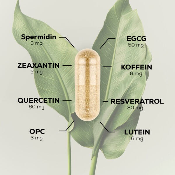 epigeing Age Attack vital aging nutrition Kapseln (30 Stk)