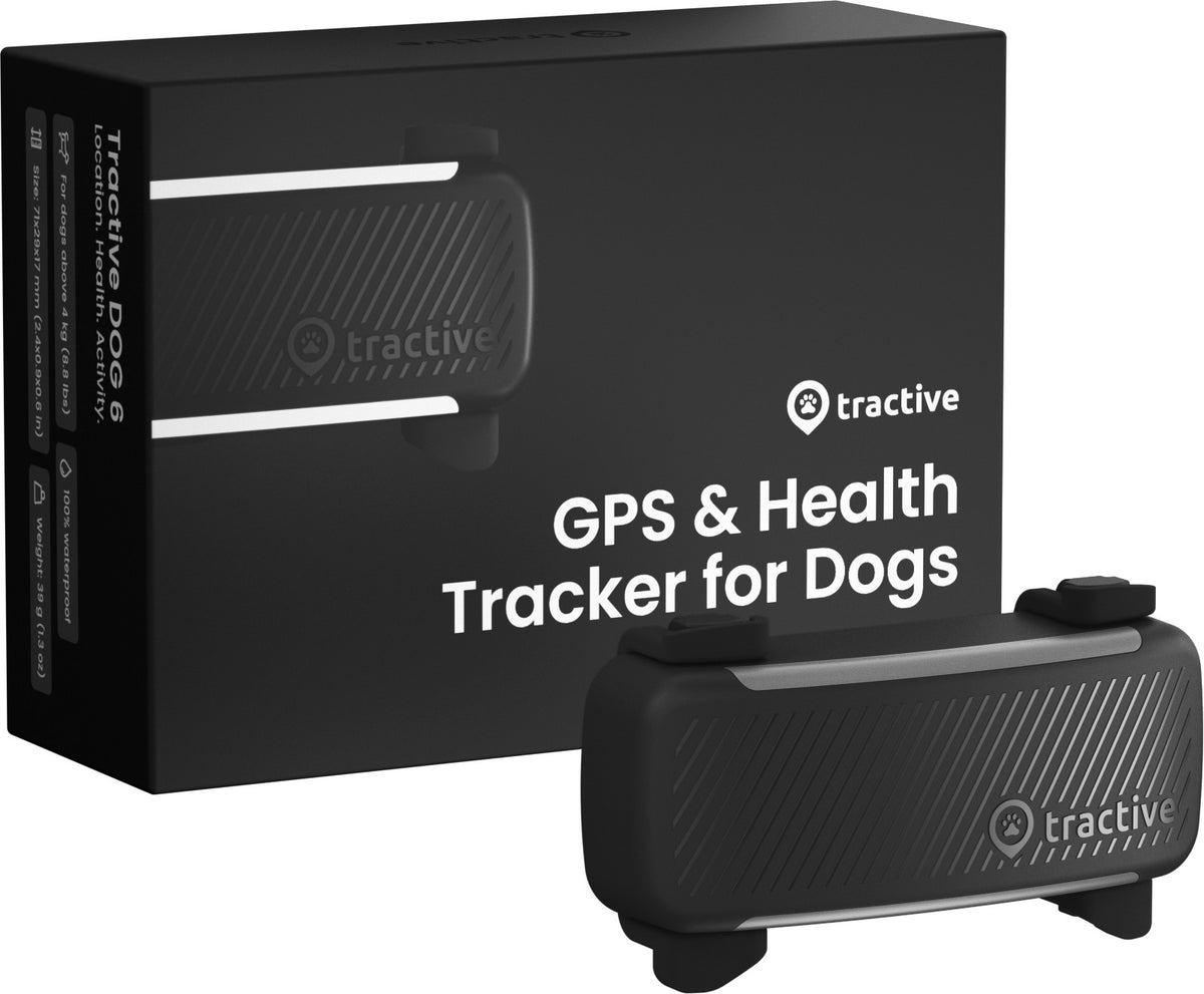 tractive GPS DOG 6 schwarz (1 Stk)