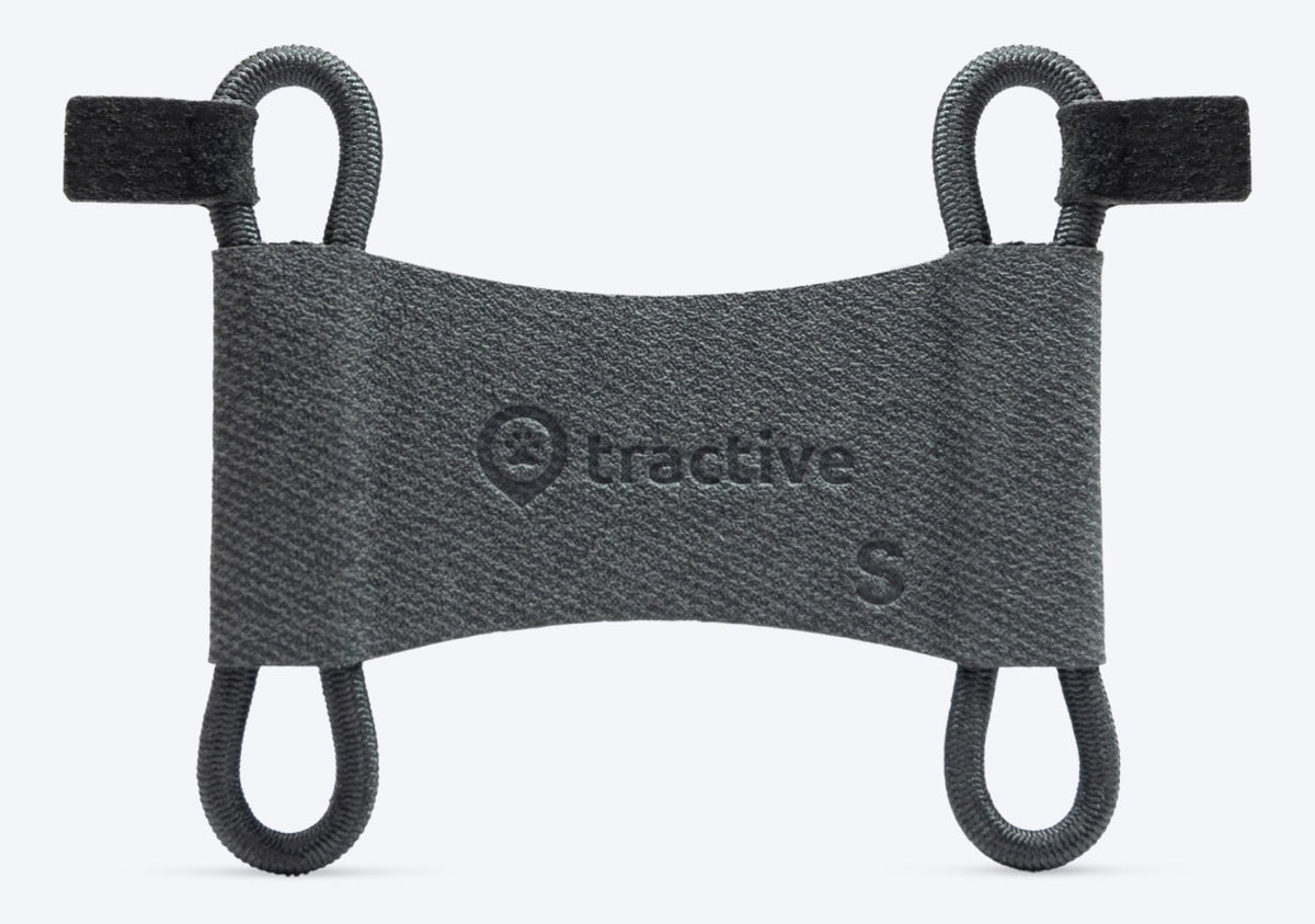 tractive GPS DOG 6 Fabric Clips schwarz, Grösse S bis 2.5cm (2 Stk)