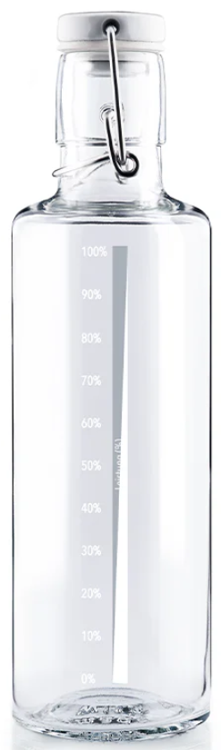 Soulbottle Lei(s)tungswasser mit Tragegriff, 0.6 Liter (1 Stk)
