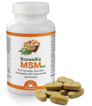 Dr. Jacob’s Boswellia MSM forte Tabletten (90 Stk)
