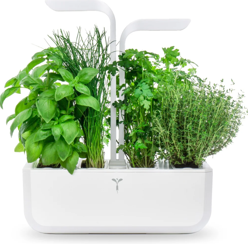 Véritable CLASSIC Indoor-Garten (1 Stk)