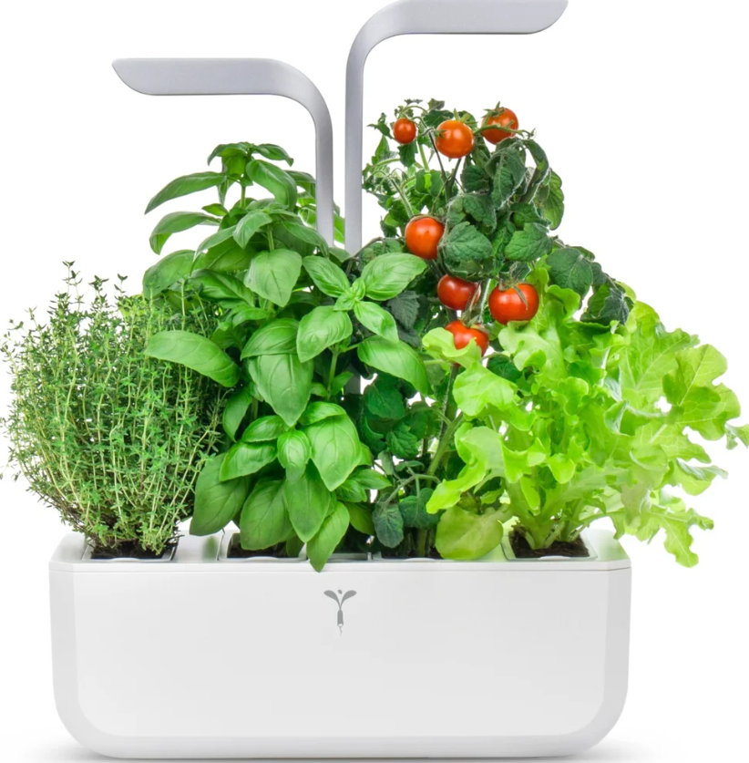 Véritable SMART Indoor-Garten arctic white (1 Stk)