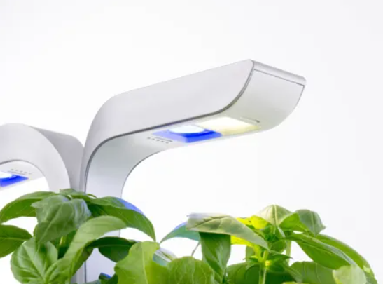 Véritable SMART Indoor-Garten arctic white (1 Stk)