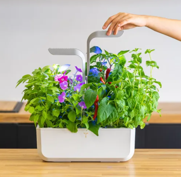 Véritable SMART Indoor-Garten arctic white (1 Stk)