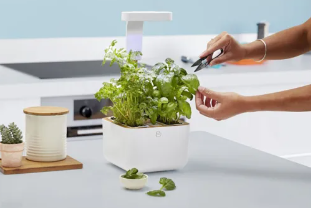 Véritable Botaneo EYLO Indoor-Garten (1 Stk)