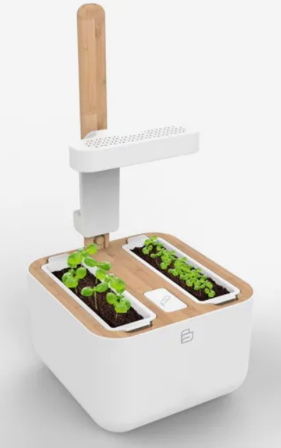 Véritable Botaneo EYLO Indoor-Garten (1 Stk)