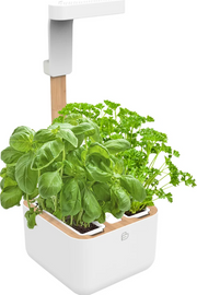 Véritable Botaneo EYLO Indoor-Garten (1 Stk)