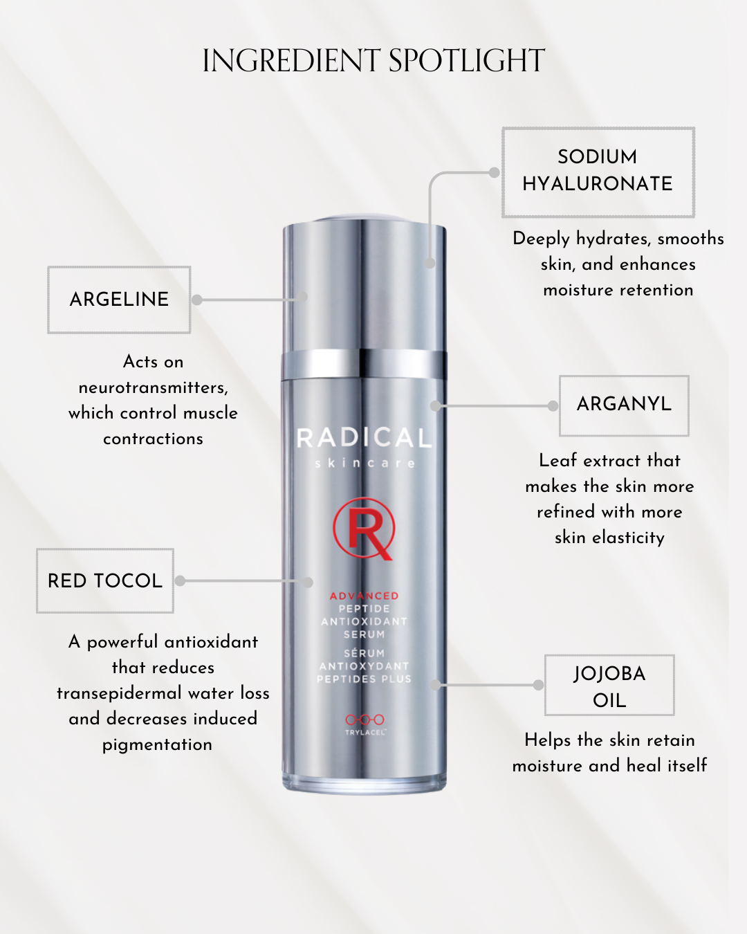 Radical Skincare Advanced Peptide Antioxidant Serum (30ml)