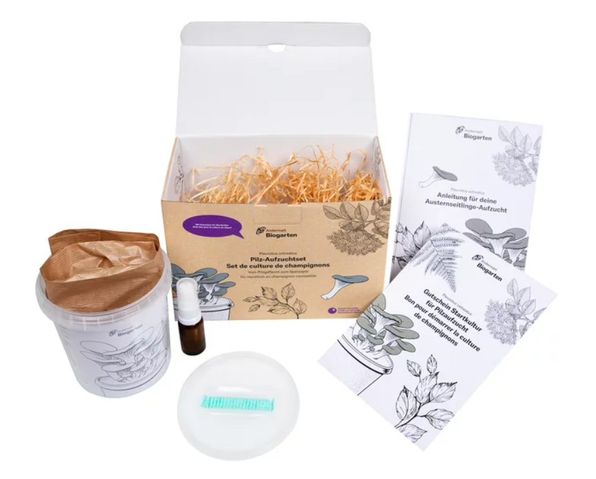 Andermatt Biogarten Geschenkbox Pilz-Aufzuchtset (1 Stk)